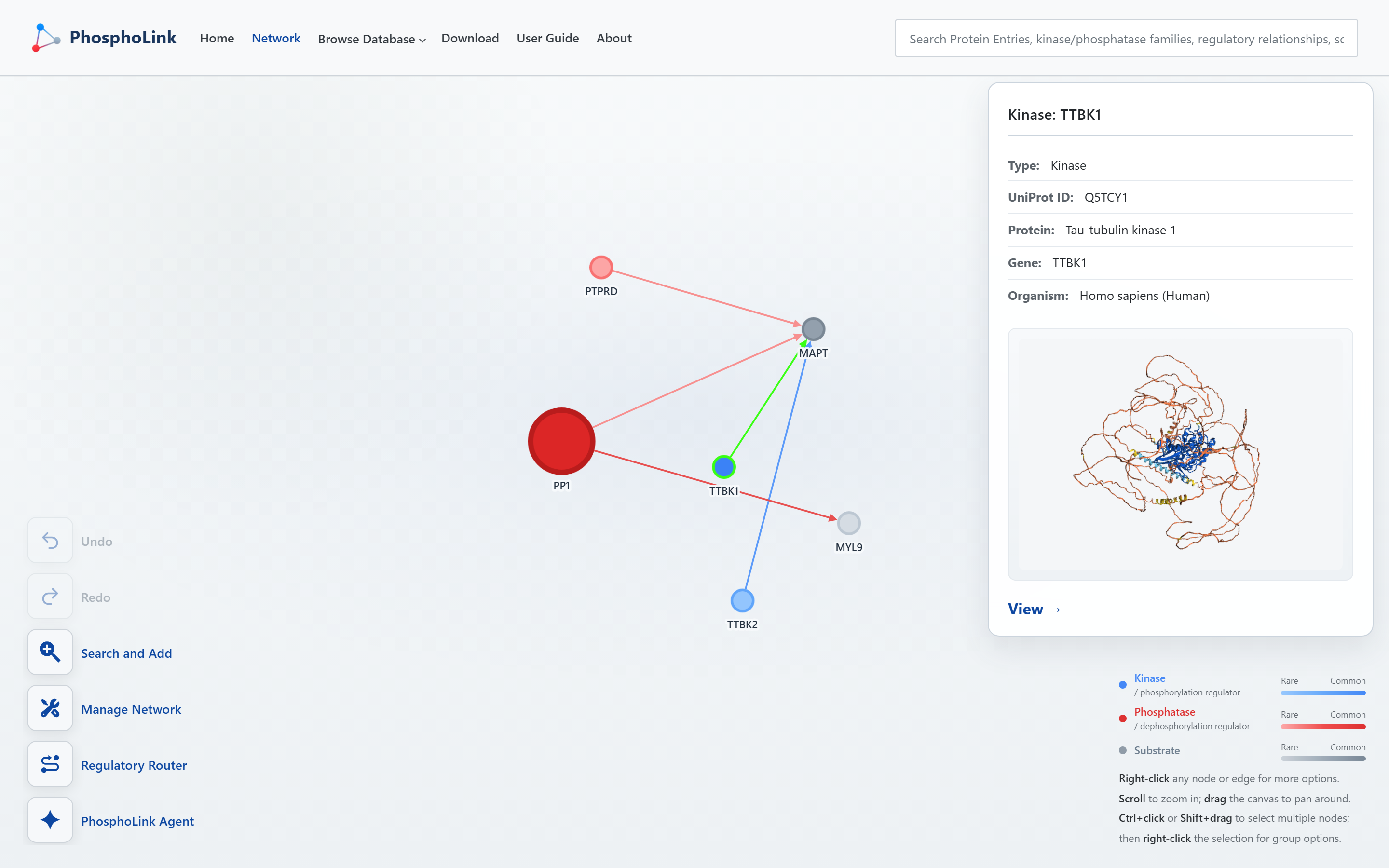 Network view