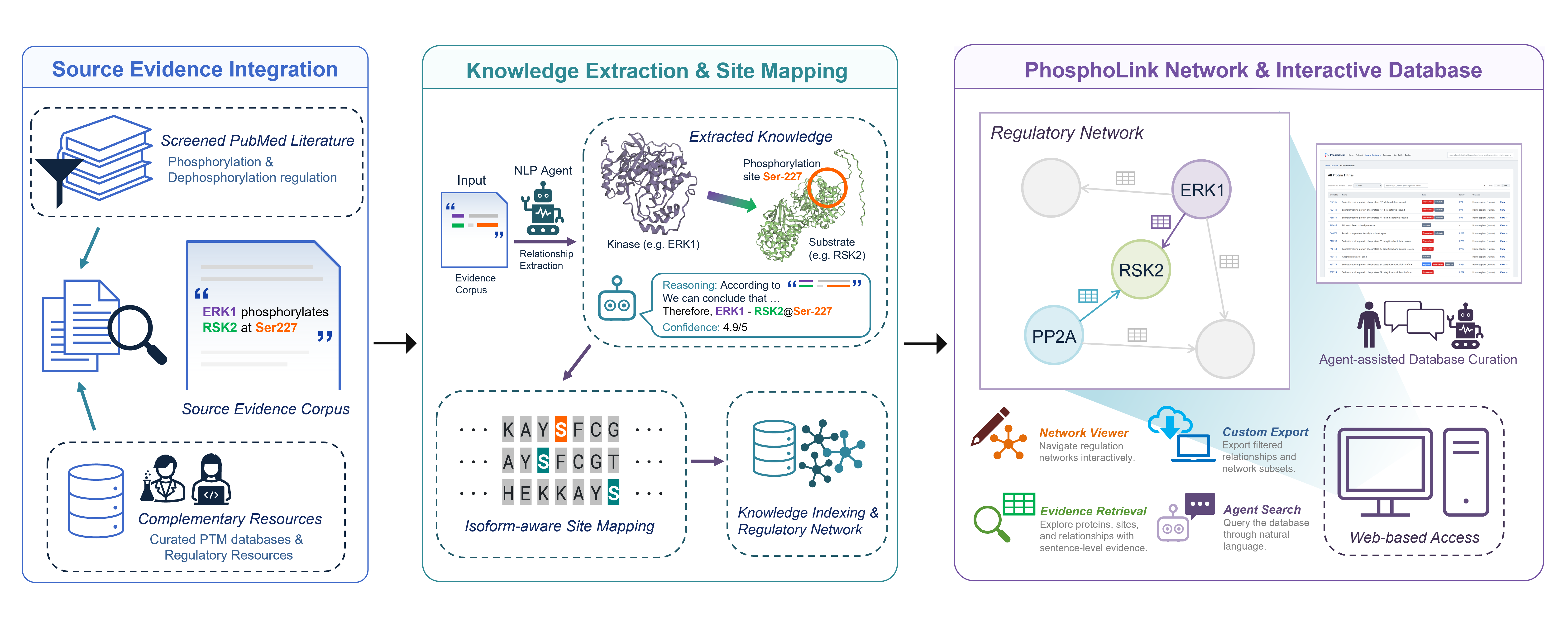 Overview of the PhosphoLink literature screening and curation workflow.