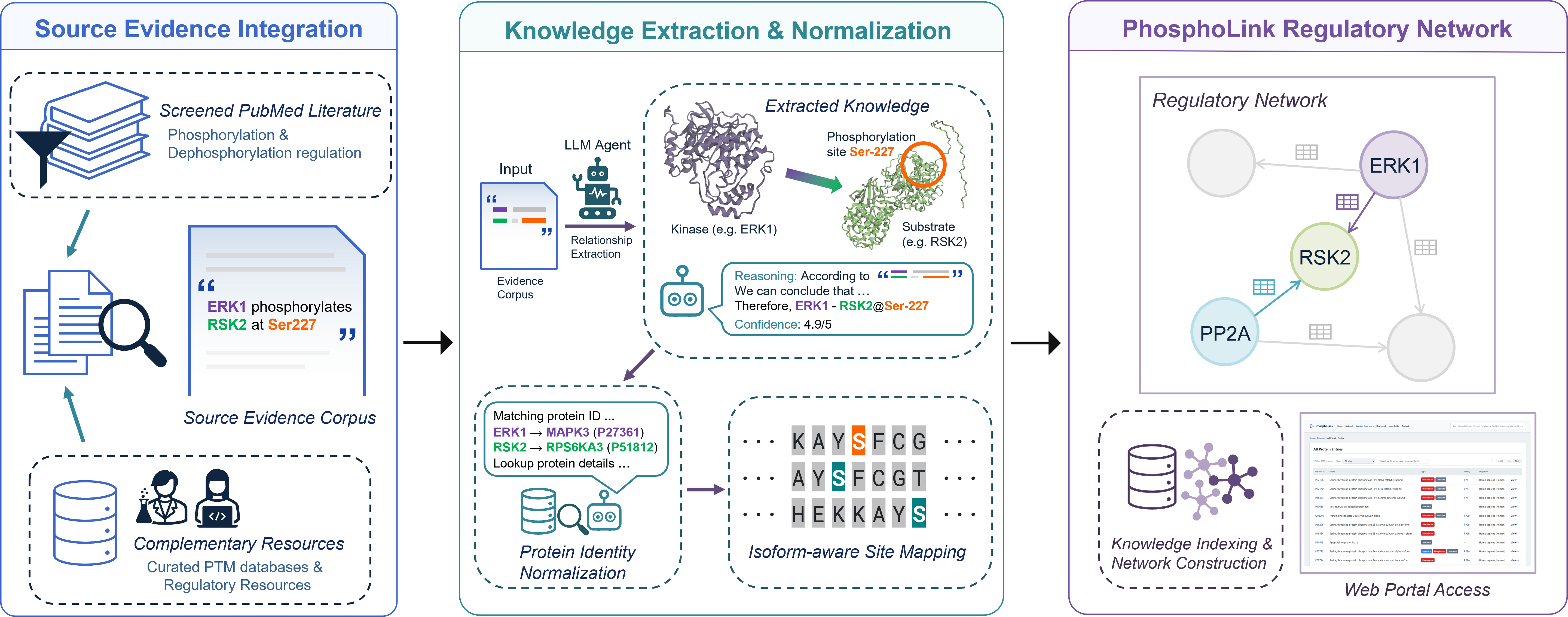 Overview of the PhosphoLink literature screening and curation workflow.